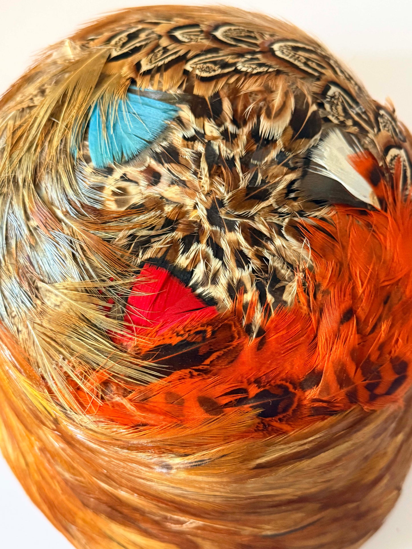 Vintage 1950s Feather Cloche Hat | Pheasant Feather Cocktail Hat | Mid Century Feathered Pillbox | Autumn Millinery | Statement Vintage Hat
