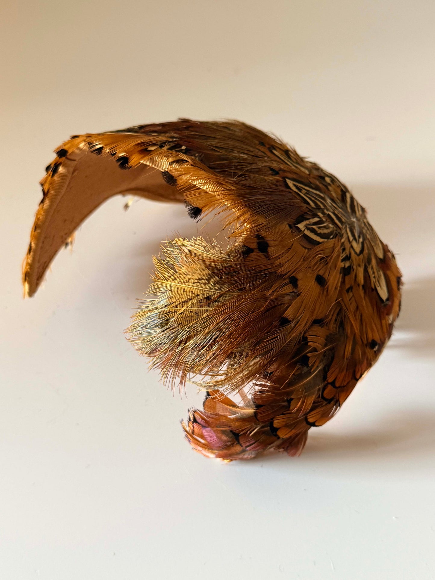 Vintage 1950s Best & Co Fifth Avenue Pheasant Feather Half Hat | Brown Feather Half Hat | Mid Century Cocktail Hat | Designer Millinery