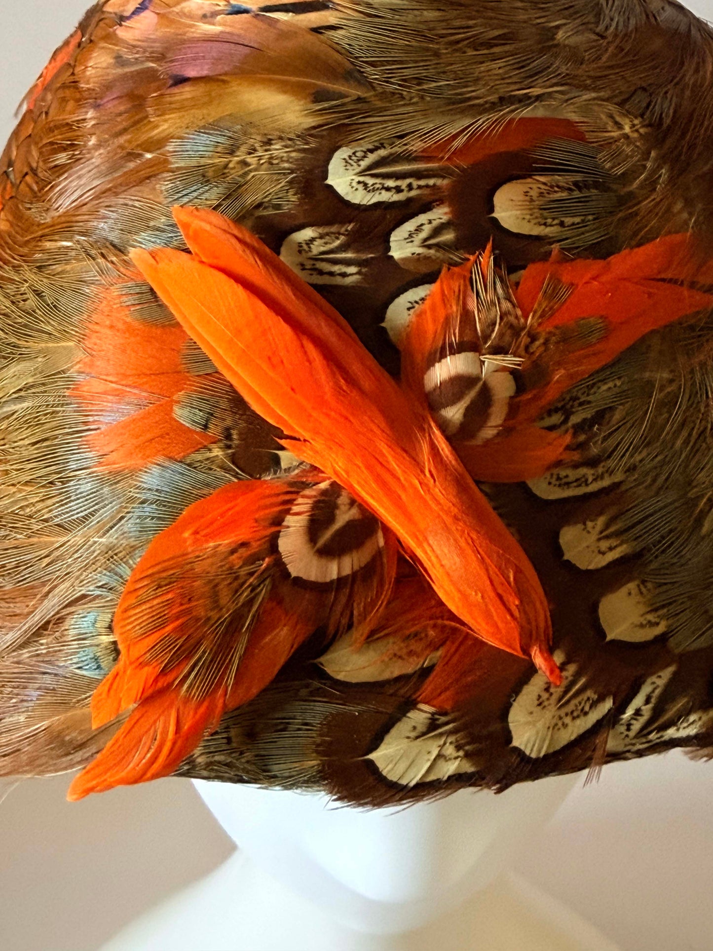 Vintage 1950s Pheasant Feather Hat – Autumn Tones Feathered Cocktail Cloche with Orange Accent