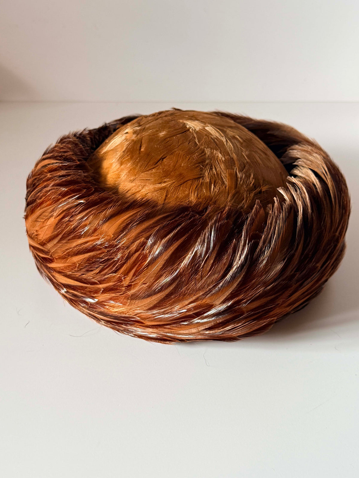 Vintage 1950s Brown Feather Toque Hat | Brimmed Pheasant Feather Hat | Mid Century Cocktail Hat