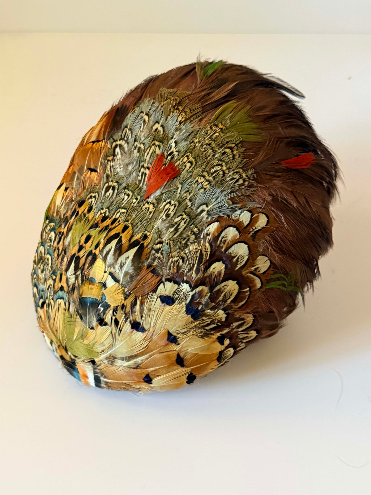 Vintage 1950s Fisk Chicago Feather Hat | Pheasant Feather Cocktail Hat Mid Century Millinery