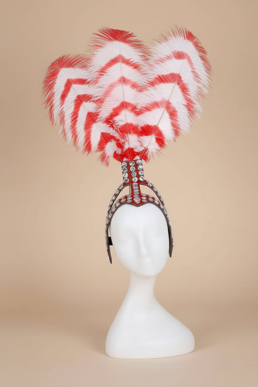 Striped Feather Headdress